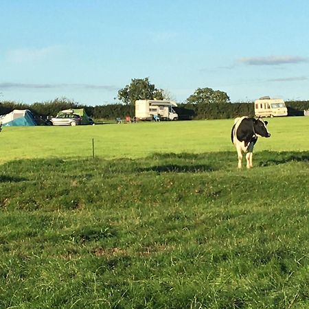 Hotel Carreg Y Gwynt Campsite - Touring And Tent Pitches Llanarth  Zewnętrze zdjęcie