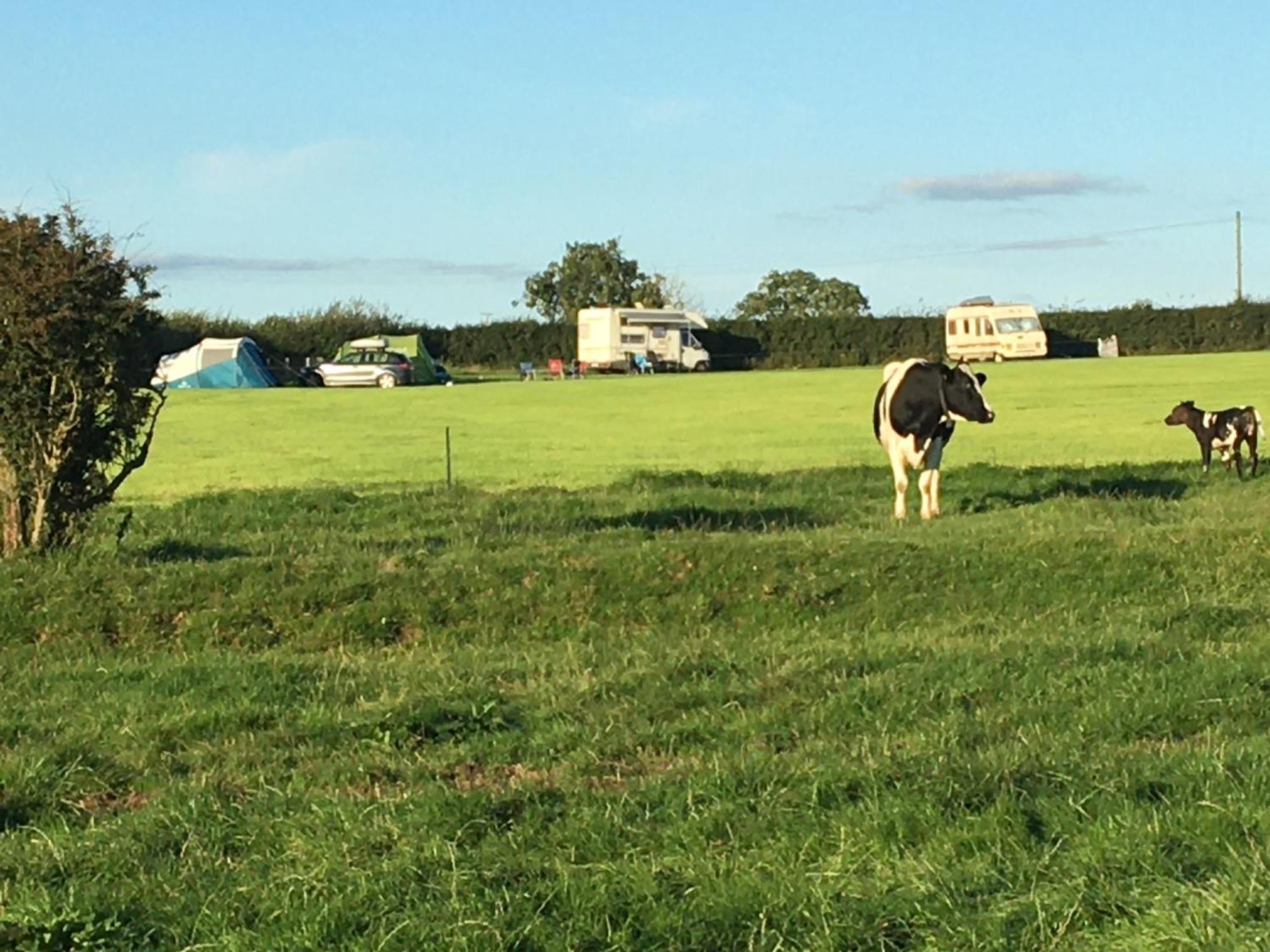 Hotel Carreg Y Gwynt Campsite - Touring And Tent Pitches Llanarth  Zewnętrze zdjęcie